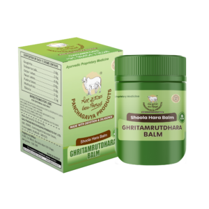 Ghritamrutdhara Balm - Shoola Hara Balm